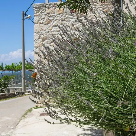 House Medea Ustrine