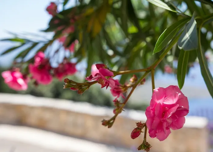 Holiday home House Medea